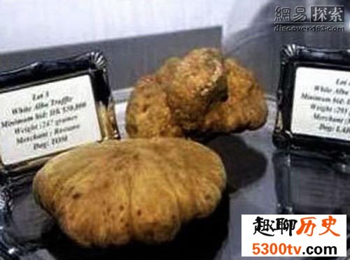世界上最贵的蘑菇