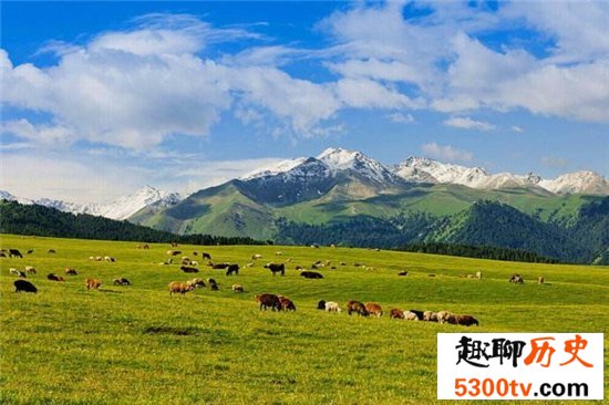 盘点中国十大最美草原排行榜，假期旅游必去圣地！