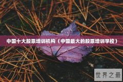 中国十大股票培训机构（中国最大的股票培训学校）