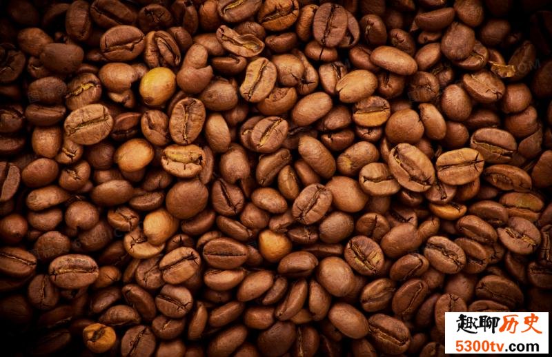 咖啡豆不是豆而是果实的核