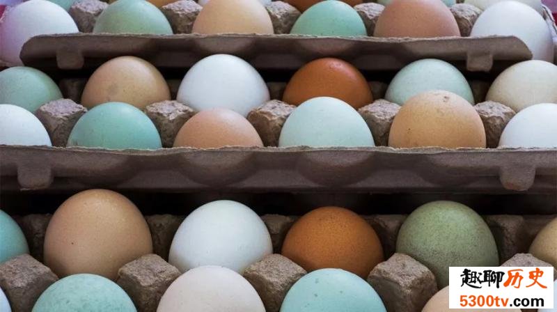 为什么会有棕色和蓝色的鸡蛋 它们的营养一样吗