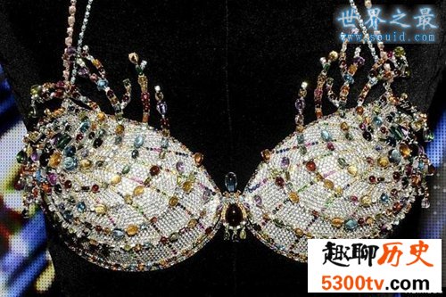 世界上最昂贵的胸罩，最美的肉体(1000万美元)