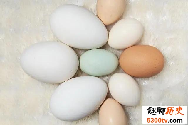 鸡蛋、鸭蛋、鹅蛋、鹌鹑蛋 哪种营养价值最大