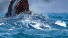 你都看过哪些鲨鱼电影 一起来回顾一下吧