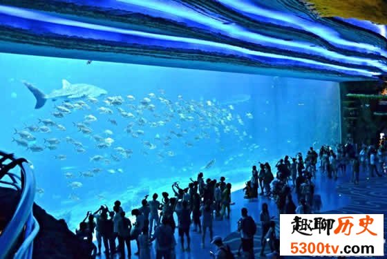 世界上最大的水族馆，珠海长隆海洋王国(门票350元)