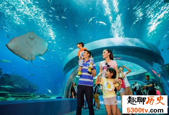 世界上最大的水族馆，珠海长隆海洋王国(门票350元)