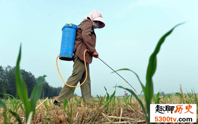 为什么除草剂能只除草不除苗